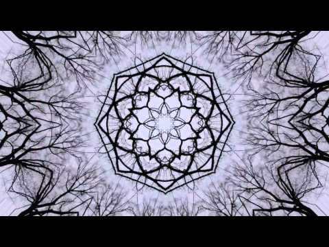 Mad Zach - Airport Chronicles - (Official Music Video)