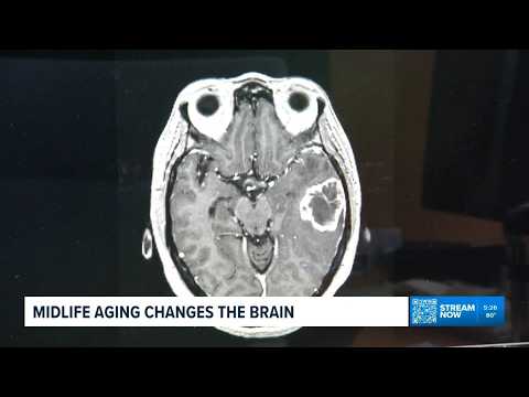 NIH-funded study finds midlife brain changes may help ...