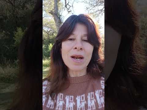 Relax y bienestar en Cabañas Los Tres Algarrobos Cortaderas San Luis