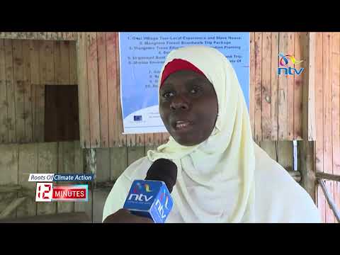 Inside the Kenyan coastal community that is turning trees into school fees and clean water