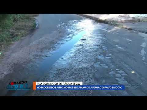 O Dia TV