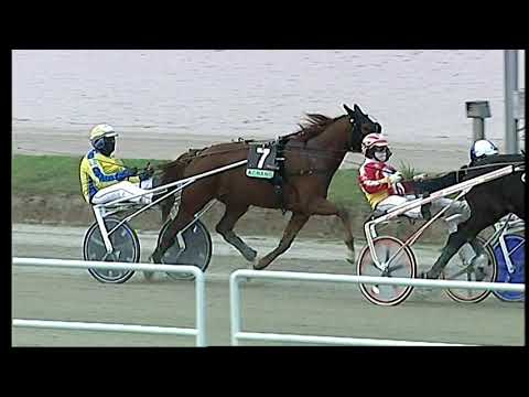 Napoli Trotto 12/12/2021 - 1ª corsa