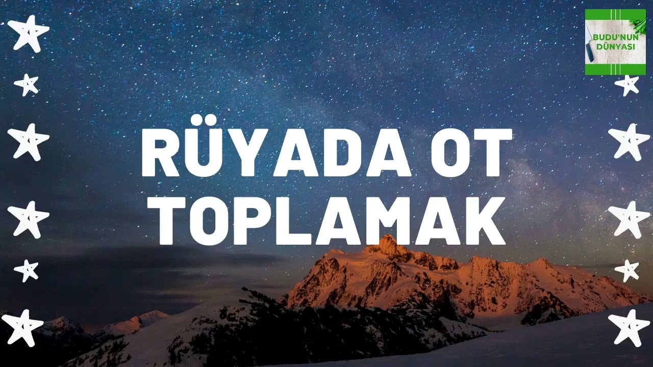 Rüyada Ot Toplamak Ne Anlama Gelir I Tüm Detaylar