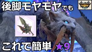 【簡単】ベリオロス次元変異の後脚モヤモヤもこれで攻略！双剣破壊王もりもり装備でお手軽ハント【モンハンnow】実況