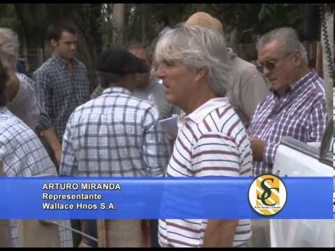 ARTURO MIRANDA - Representante - Wallace Hnos. SA - 14/02/2014