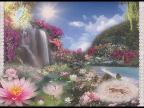 YUNGTARR - Blonde ii (Official Visualizer)