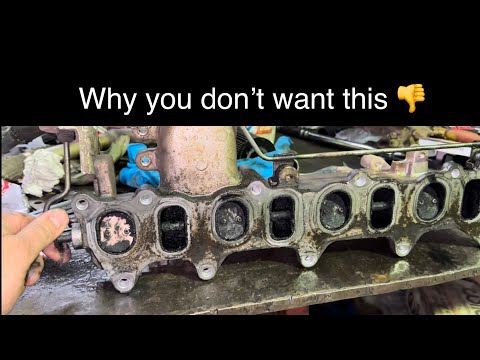 How to get free HP in your driveway. Turbo Diesel, ZD30, 1KD, 4JJ1.