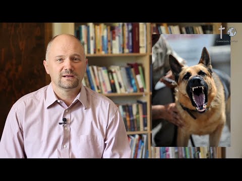 Sonntagschule - Keine Angst (#Kinderstunde #Kinderkirche #Kindergottesdienst)