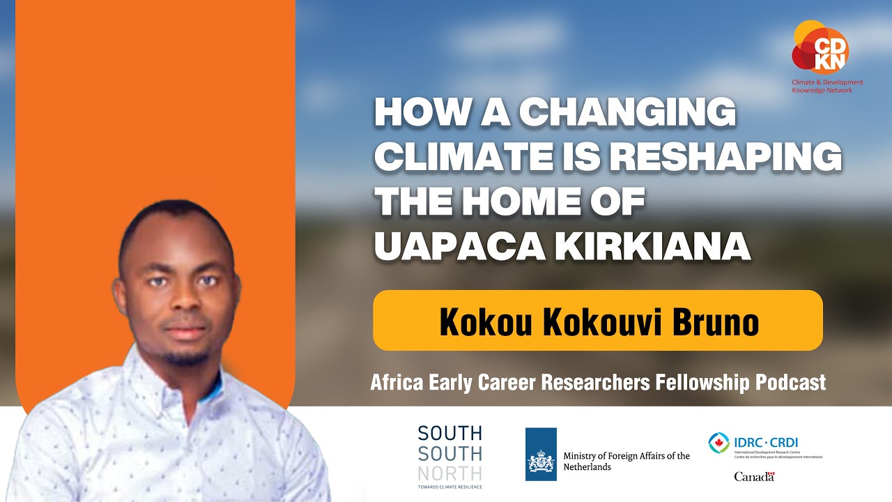 HOW A CHANGING CLIMATE IS RESHAPING THE HOME OF UAPACA KIRKIANA ft. Kokou Kokouvi Bruno