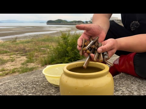 掘りたて生きてるマテ貝を醤油で漬けしてみた。