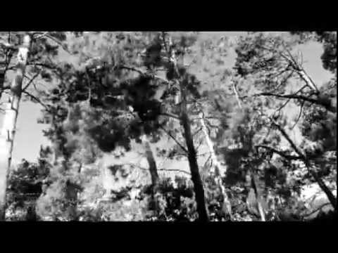 Wildernessking - And the Night Swept Us Away (Official Music Video) online metal music video by WILDERNESSKING