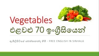 VEGETABLES එළවළු l English in Sinhala