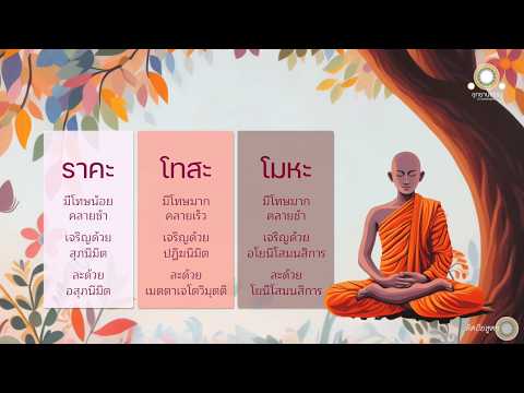 ພຸດທະວິທີປະຕິບັດເພື່ອລະ ຣາຄະ ໂທສະ ໂມຫະ