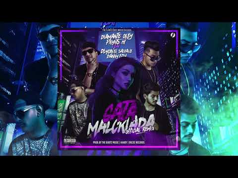 Diamante Okey & PrynsHT Ft. D'Lyon El Salvaje, Danny Edu - Gata Malcriada (Official Remix)