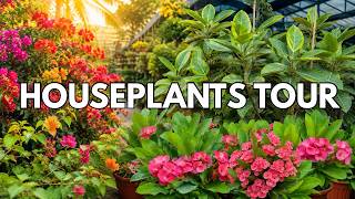 🌿Houseplant Shop Tour | Rare and Beautiful Indoor Plants | Visiting a Beautiful Plant Shop🌱