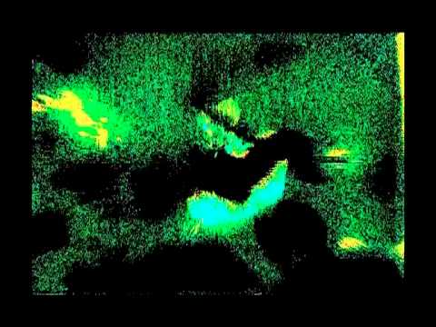 Falko Brocksieper - For The Birds [Suicide Circus Records]