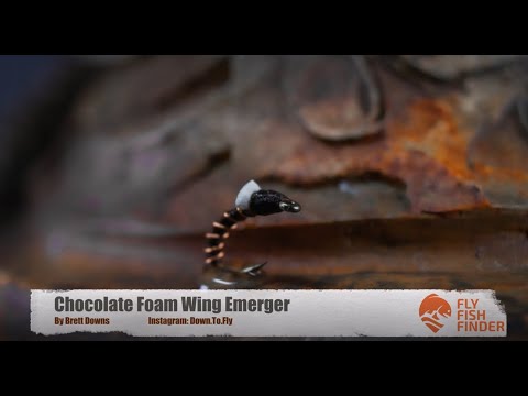 Chocolate Foam Wing Emerger