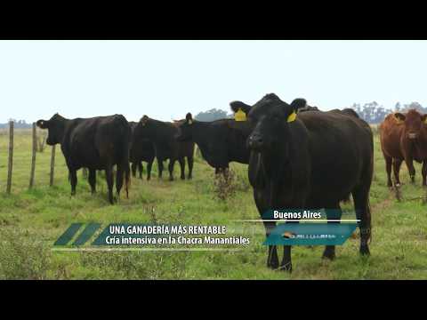 Una ganadería más rentable