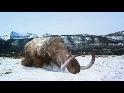 Frima Studios Animation & VFX - Demo Reel 2014