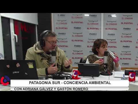 Patagonia Sur - Conciencia Ambiental. Adriana Galvez-Wilson Salvat- Gastón Romero Programa 9-2026