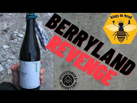Kings of Mead - Berryland revenge (review)