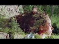 Thinking of a place - The War on Drugs  (Music Video)