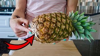No Knife Pineapple Hack 🍍(how to pull apart a pineapple & correctly eat it) Clean & Delicious!