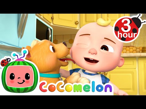 This is the Way (Doggie Version) | 3 HOUR CoComelon Kids Songs & Nursery Rhymes