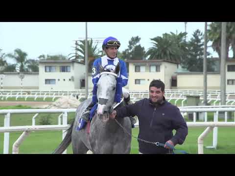 230520 c02 - NORTH STORM - HIPODROMO DE MARONAS