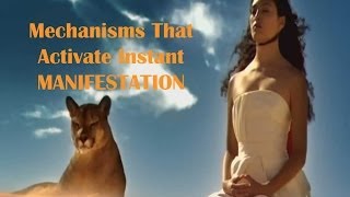 Mechanisms that activate instant manifestation - Abraham - Esther Hicks