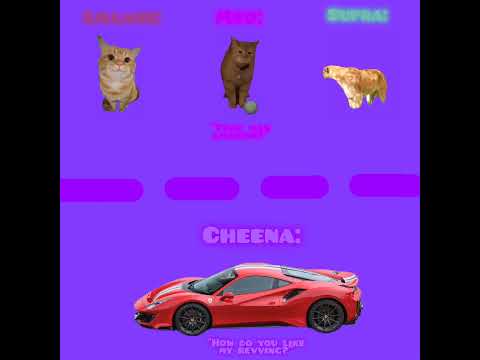 CAT MEMES 🐱 Supra joins and watches me rev my Ferrari 488 Pista at car meet with Civic (Meo danced)