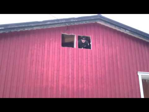 Only in hammarstrand