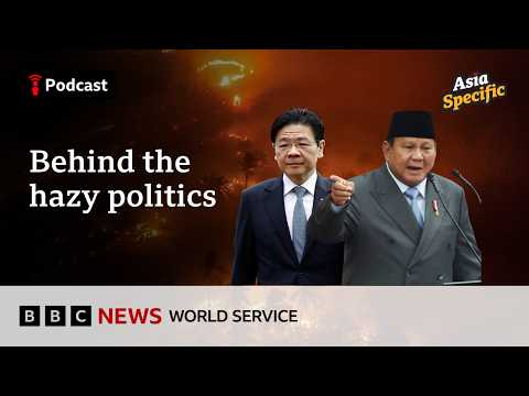 Why a comment about haze fired up Indonesia’s neighbours  - Asia Specific podcast, BBC World Service