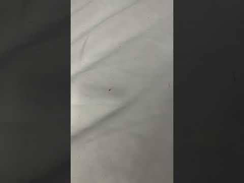Bad experience with Quality inn