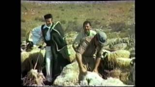 ΒΛΑΧΙΚΟ ΚΟΥΡΕΜΑ ΠΡΟΒΑΤΩΝ - ΣΤΗ ΣΤΑΝΗ ΤΟΥ ΚΑΠΟΥΛΑ 1985