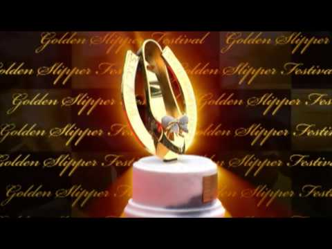 2010 AAMI Golden Slipper Festival