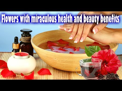 [ Wow ] 5 Flowers with miraculous health and beauty benefits - Health Tips