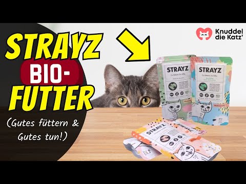 STRAYZ Bio-Katzenfutter - Ist es wirklich SO gut? 👀