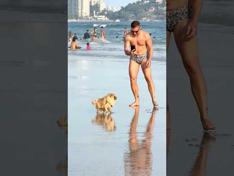 🇧🇷 Santos Beach São Paulo Brazil