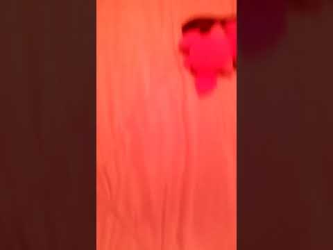 I made Maui's fish hook out of metal