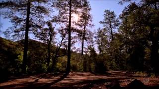 Teen Daze - Ice On The Windowsill