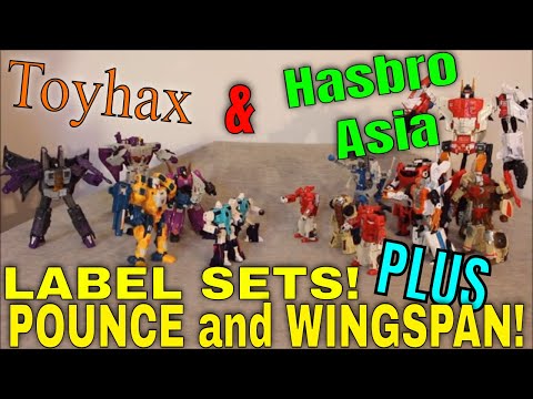 Toyhax, Hasbro Asia Sticker, TR/ ER Pounce and Wingspan - GotBot True Review NUMBER 700