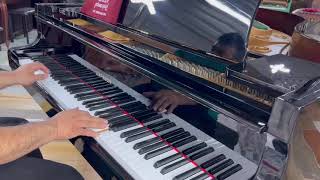 Đàn piano Grand Diapason no-170 @bandanpianogiare