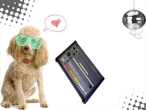 Chopstick&Johnjon feat. Fritz Kalkbrenner - A New Day(Till von Sein A New Dub)