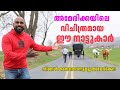 അമേരിക്കയിൽ ഇങ്ങനെ ജീവിക്കുന്നവരുമ�