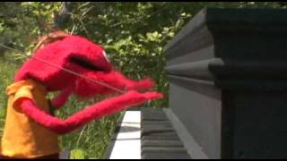 The Polyphonic Spree - Hold Me Now (Official Music Video)