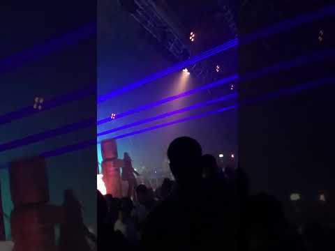 Jungle mania bassman