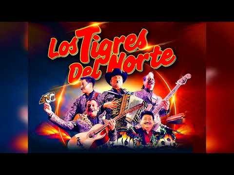 MIX TIGRES DEL NORTE VOL.1 CORRIDOS - E.MARCOSDJ