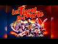 MIX TIGRES DEL NORTE VOL 1 CORRIDOS E MARCOSDJ