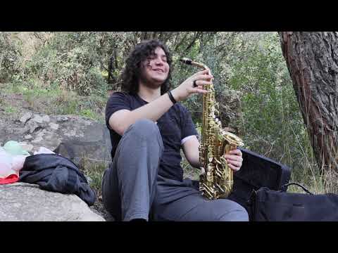 Saksafon dersleri (İleri seviyeler için)